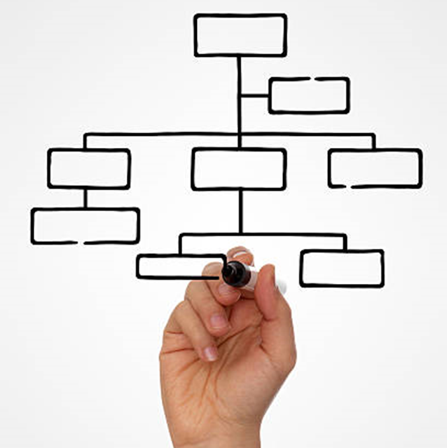 Person drawing an organizational chart