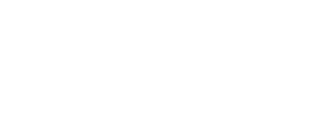 NeuroStar Logo