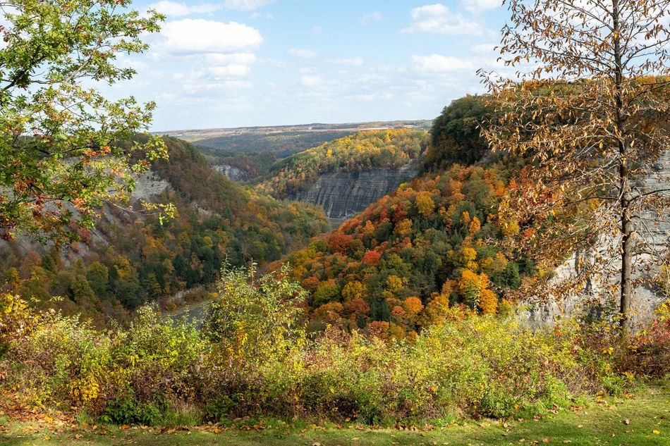 A view of a valley with trees in the foreground and mountains in the background