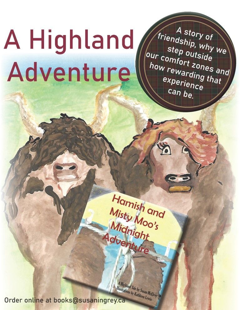 The cover of a book called a highland adventure