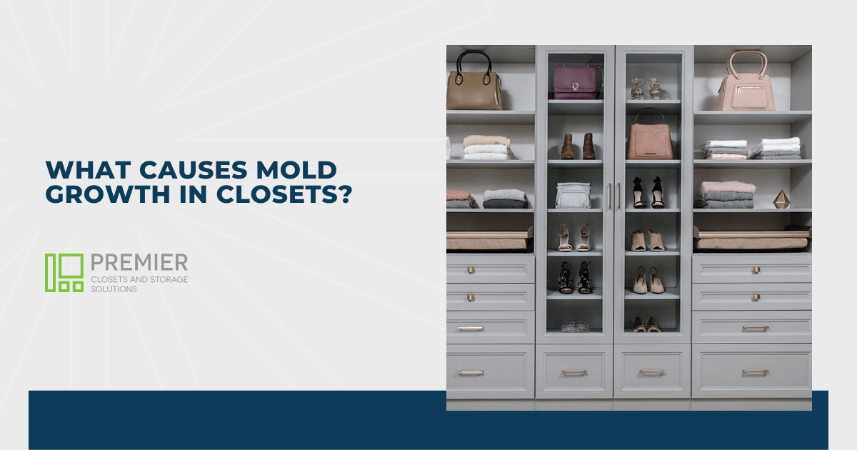 What Causes Mold Growth in Closets?