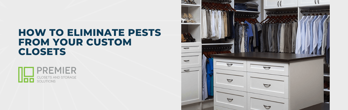 How to Eliminate Pests From Your Custom Closets