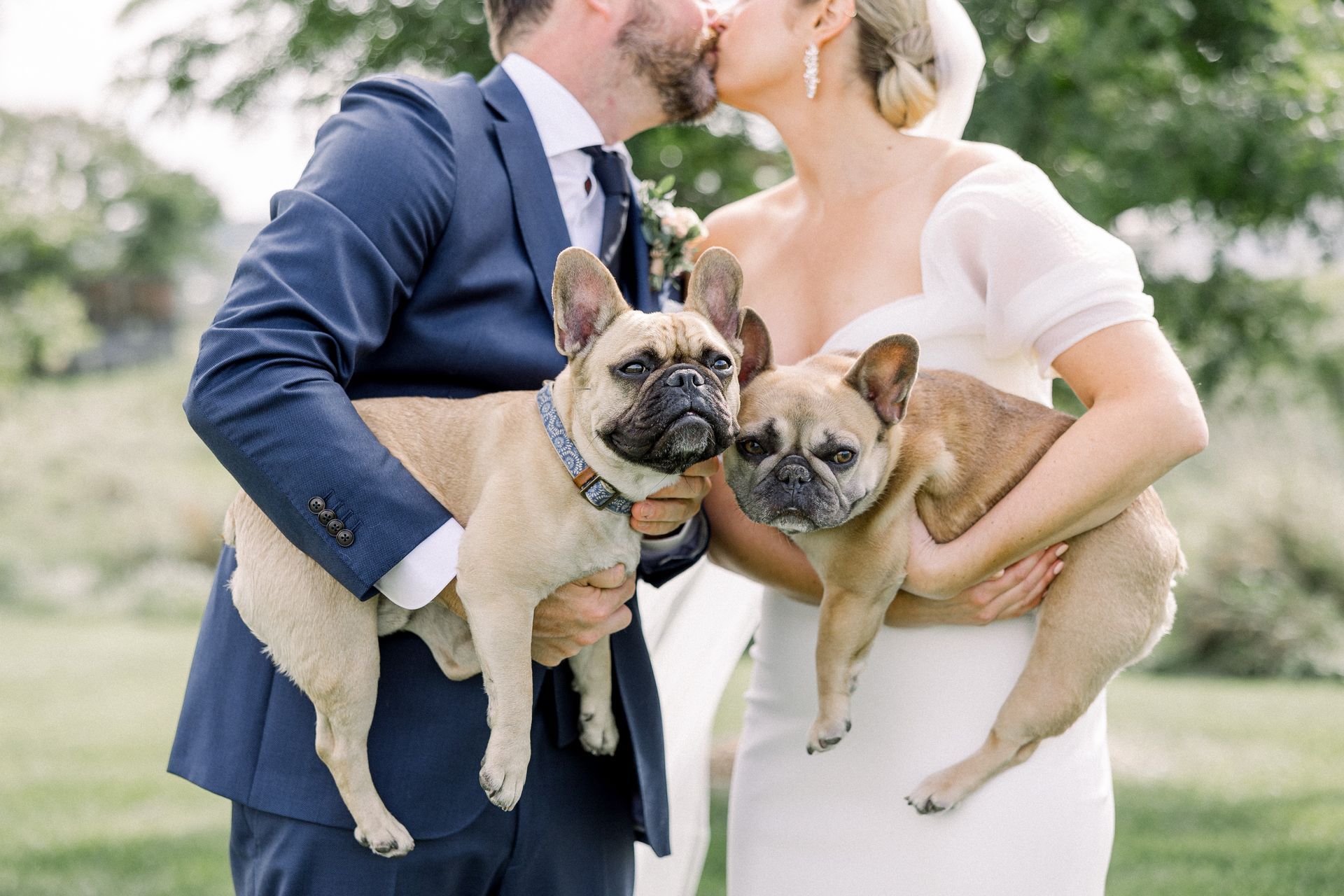 Newly married couple holding their two pugs sharing a kiss in front of the trees at isham family farm