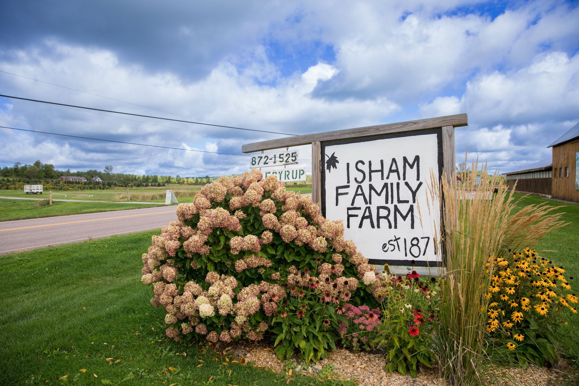 image of hand painted isham family farm sign surrounded by spring blooms.