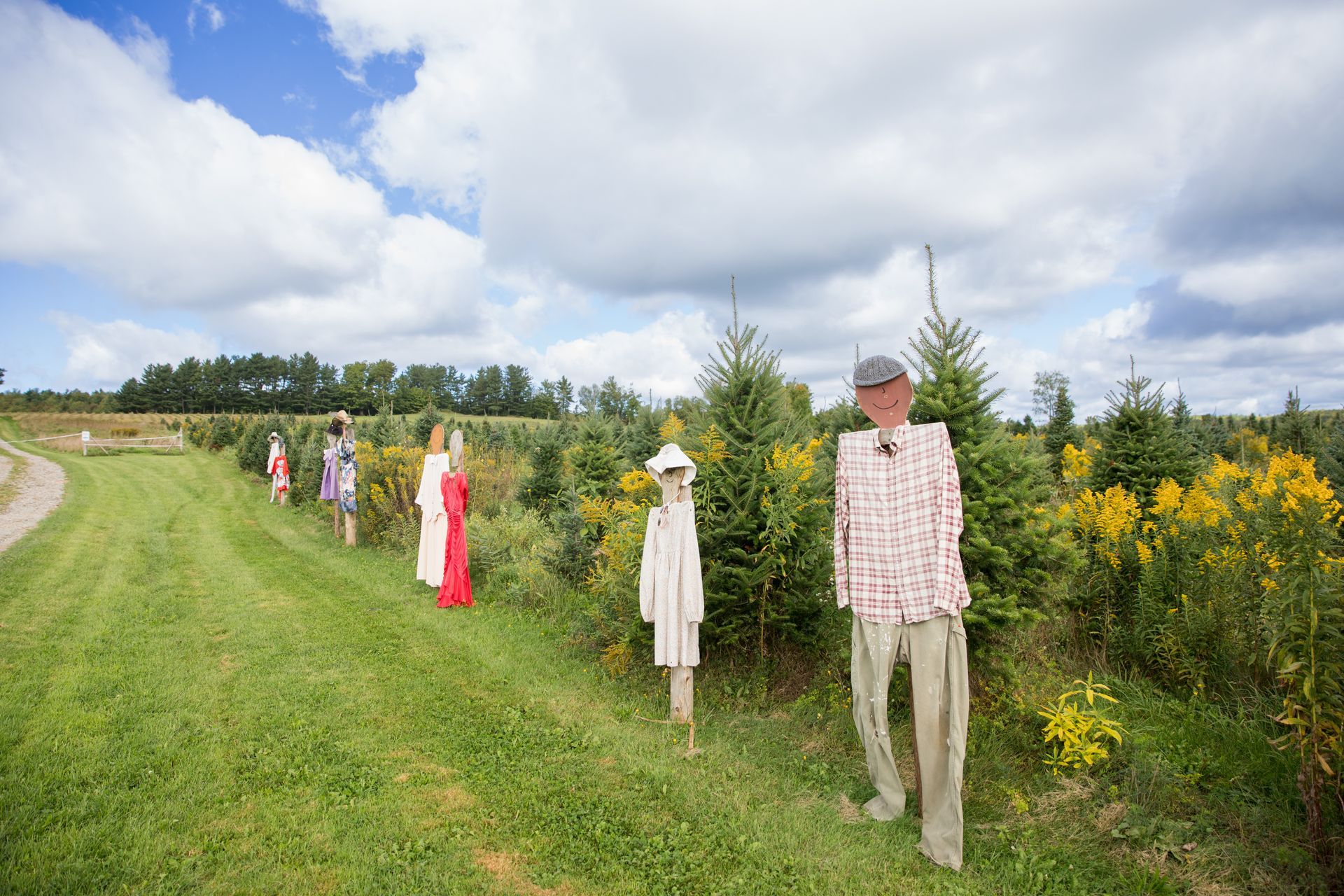 regenerative farming at Isham Family farm