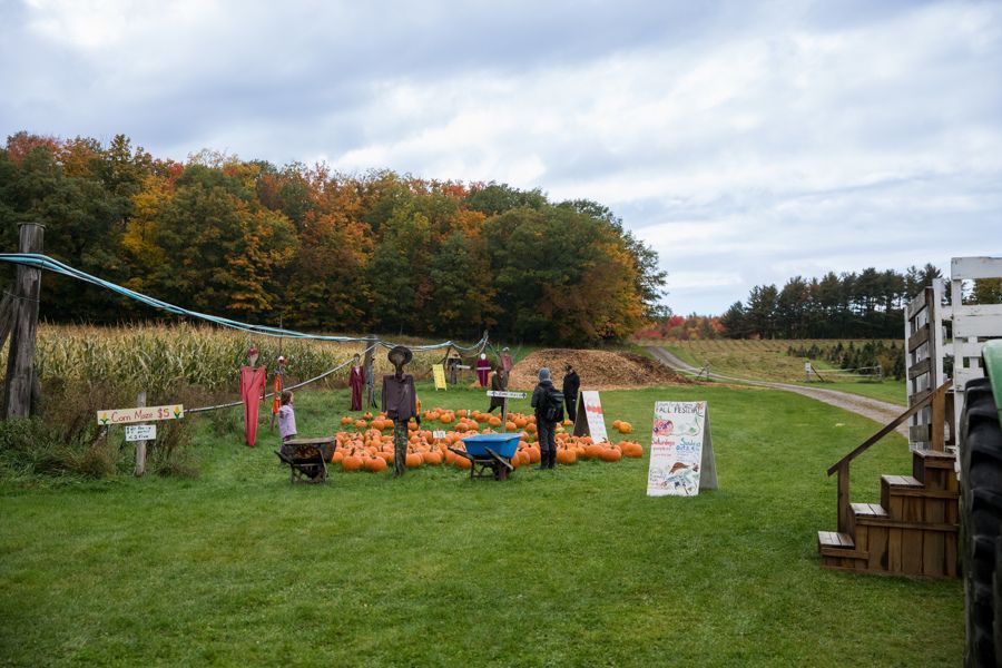 Isham Family Farm Fall festival