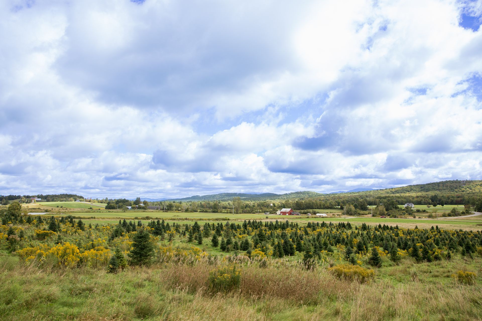regenerative farming at Isham Family farm