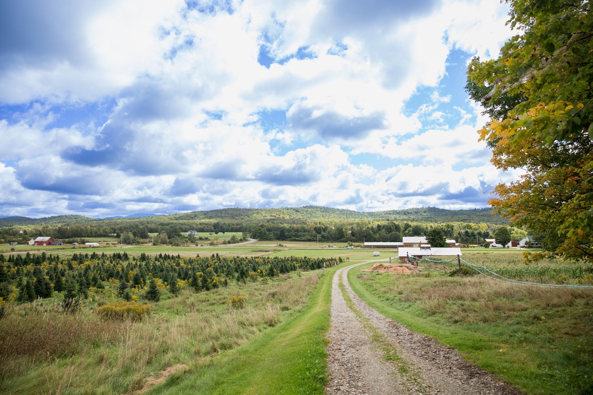 photo of the landscape of isham family farms on a clear summer day with a blue sky and rolling clouds.