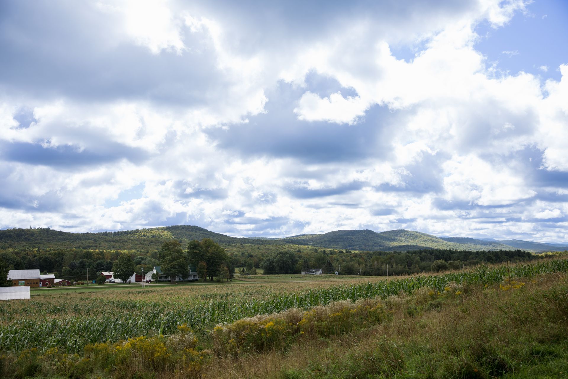 Regenerative farming fields at Isham Family Farm with scenic mountain views.