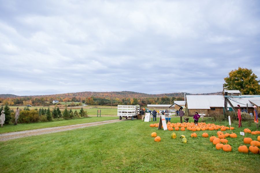 landscape view of isham family farm with pumpkin patch on the right and christmas tree farm on the lef