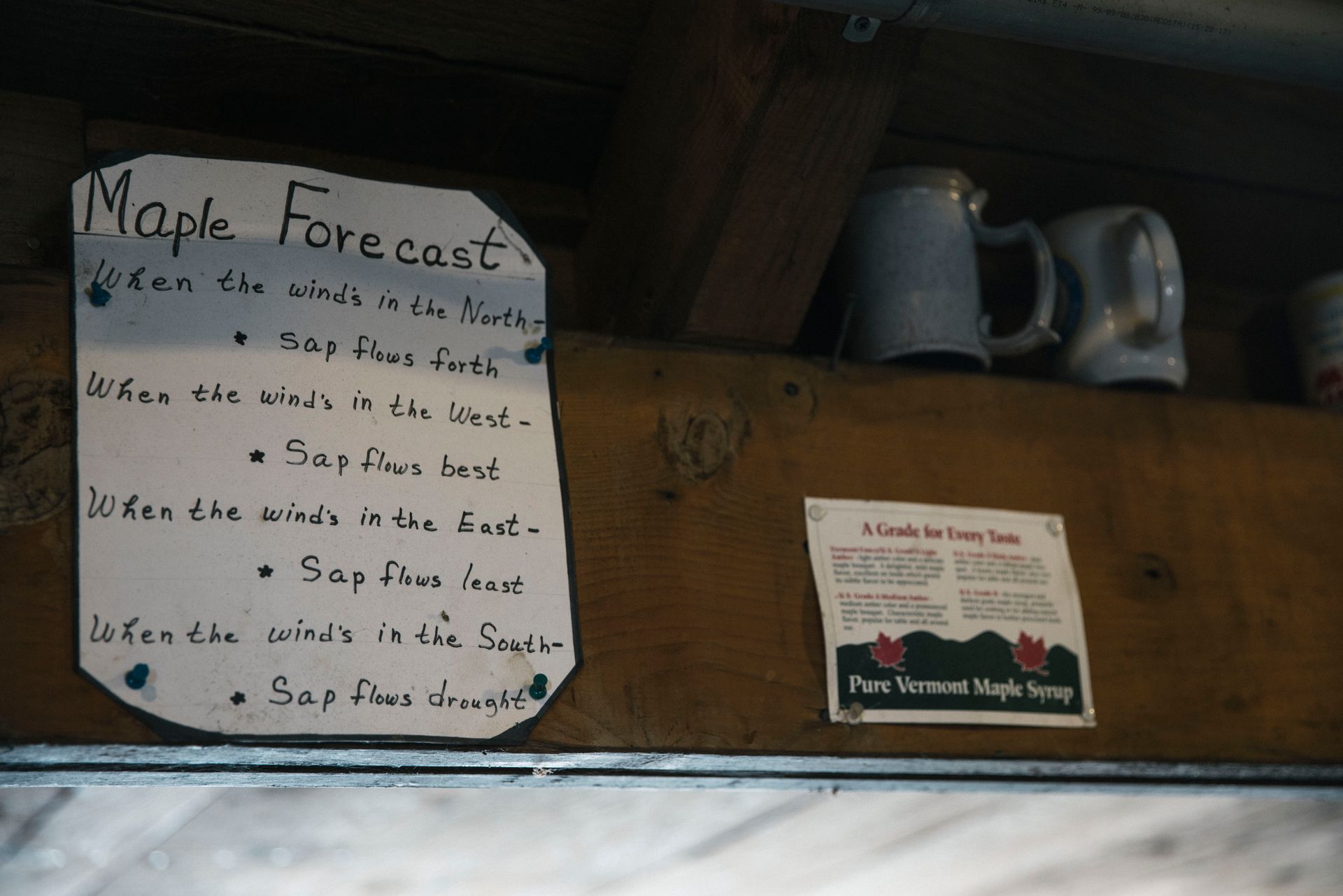Handwritten “Maple Forecast” sign showing how wind direction affects sap flow.