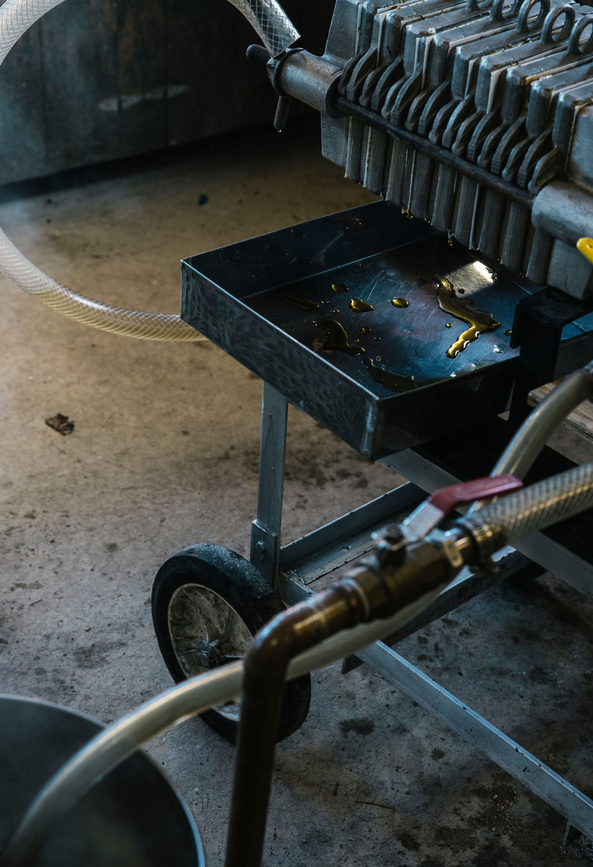 Maple syrup filter press with fresh syrup drips during production at Isham Family Farm.