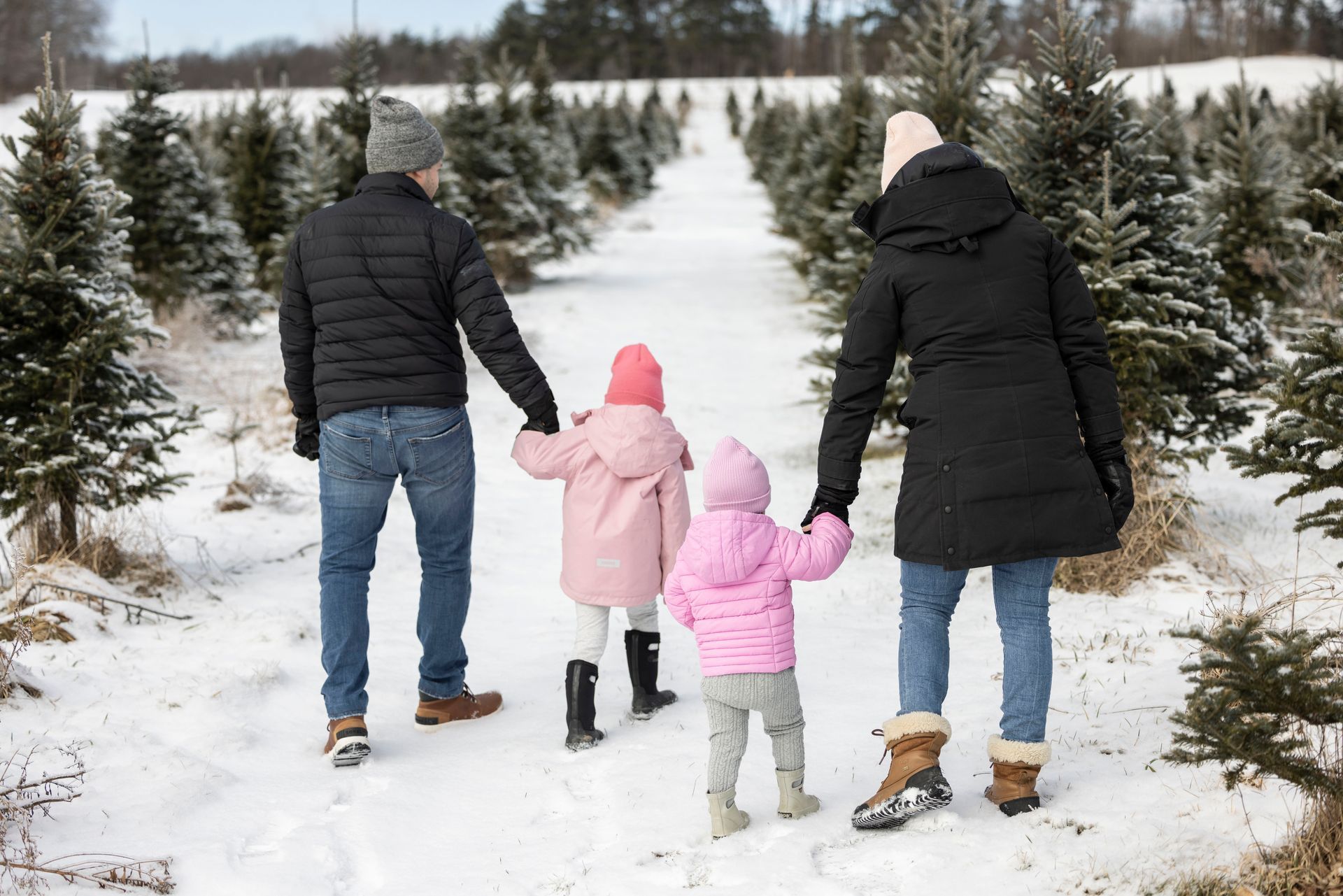 vermont christmas tree farm