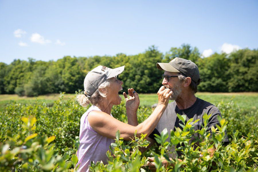 blueberry+picking+in+burlington+vt