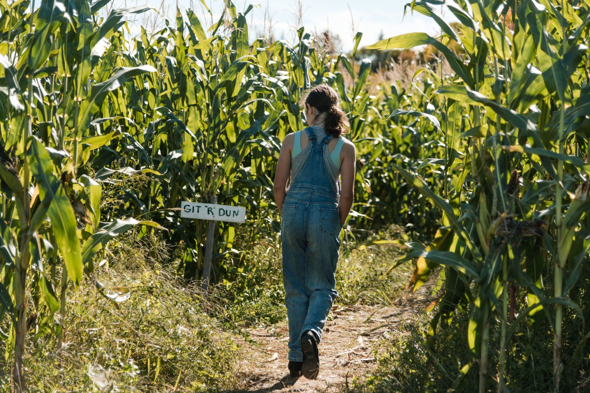 Corn Mazes in Vermont | Isham Family Farm