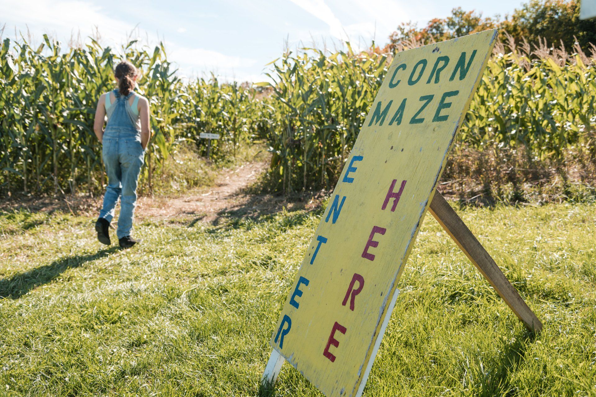 Isham Family Farm Fall festival