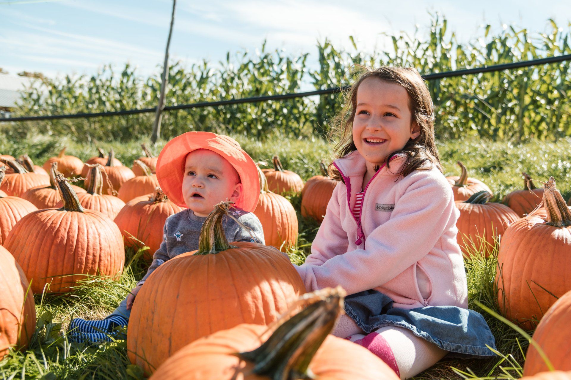 Pick Your Own Pumpkins Vermont | Isham Family Farm