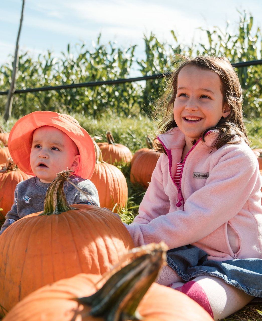 Pumpkin patch williston vt