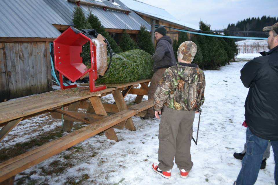 vermont+christmas+tree+farm