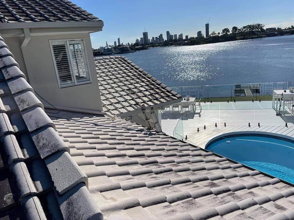 Rooftop view overlooking a pool, waterfront, and city skyline on a sunny day.