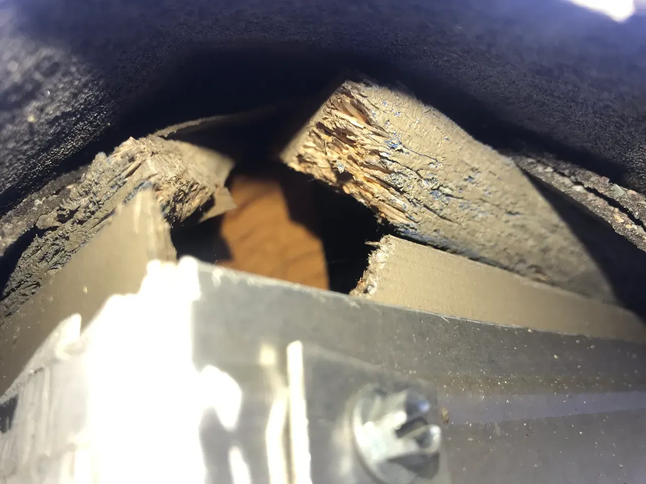 Broken Wood — Vestavia, AL — The Squirrel Guys