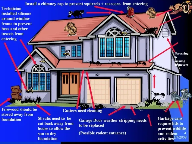 House Guide — Vestavia, AL — The Squirrel Guys