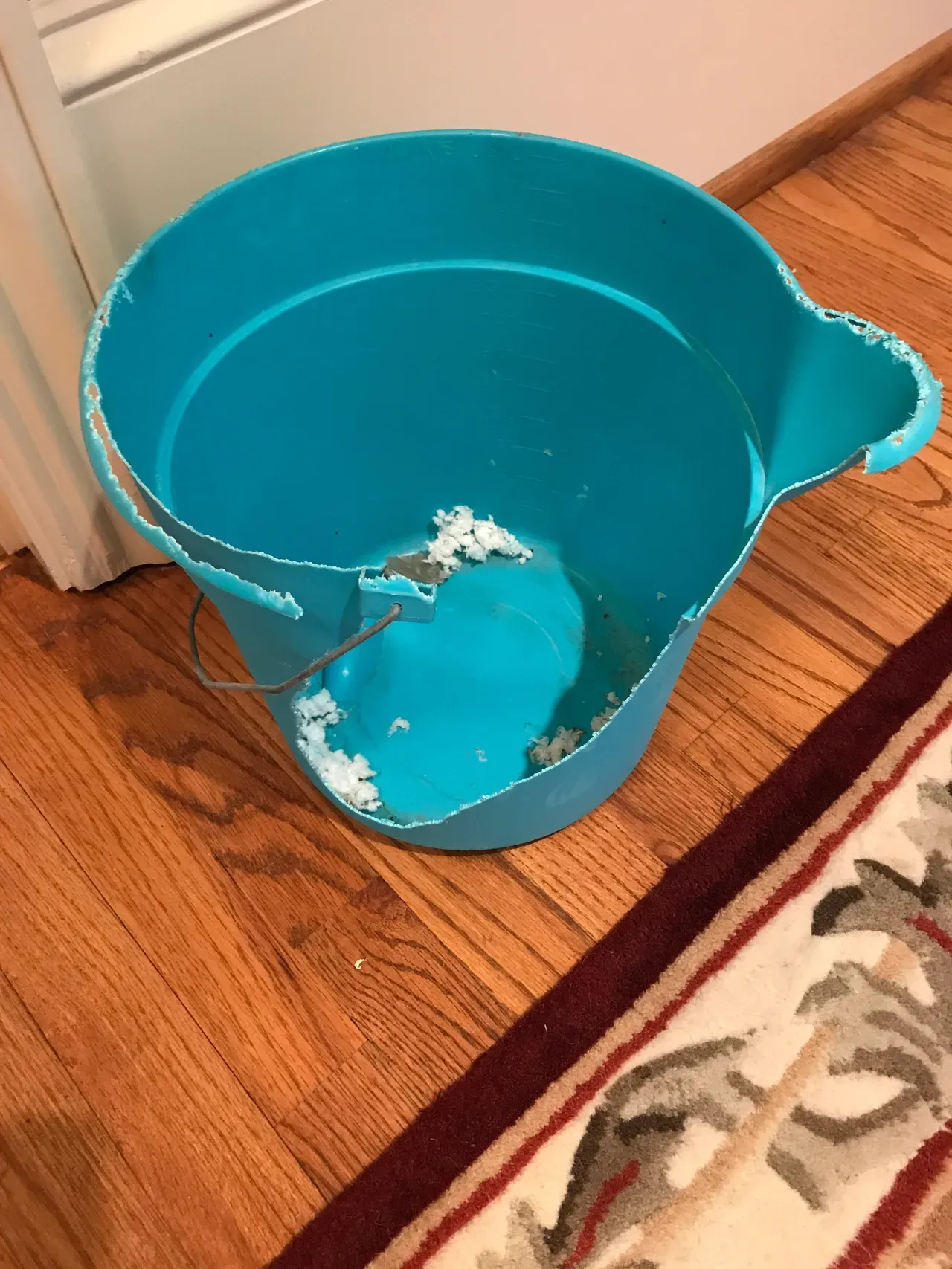 Broken Plastic — Vestavia, AL — The Squirrel Guys