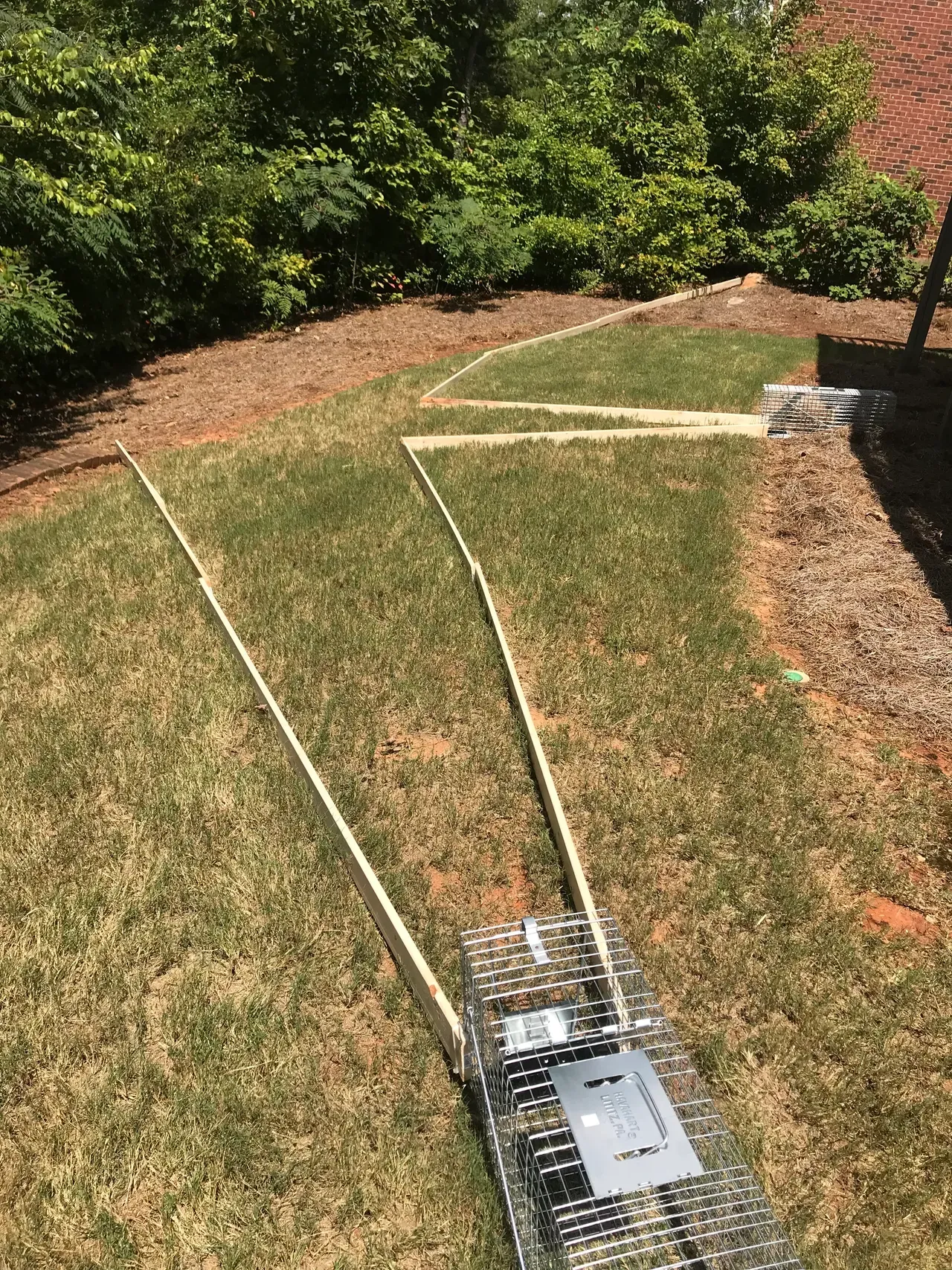 Animal Trap — Vestavia, AL — The Squirrel Guys