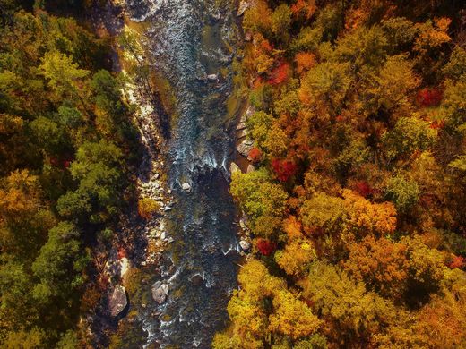 An aerial view of a river running through a lush green forest.