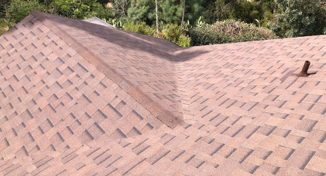 A close up of a roof with a bird on it.