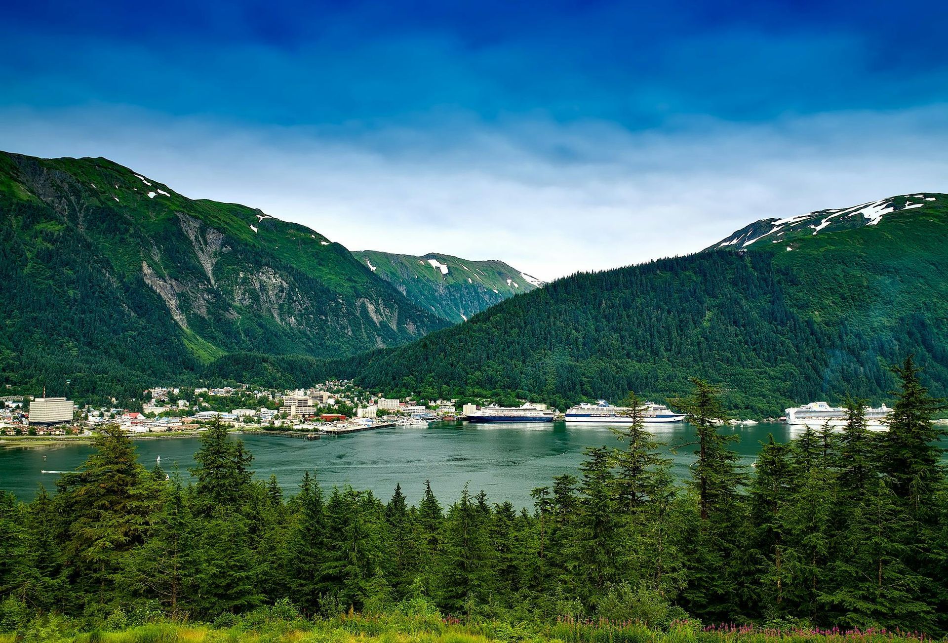 Coastal town with mountains in the background, cruise ships in the bay, and dark green trees in the foreground.