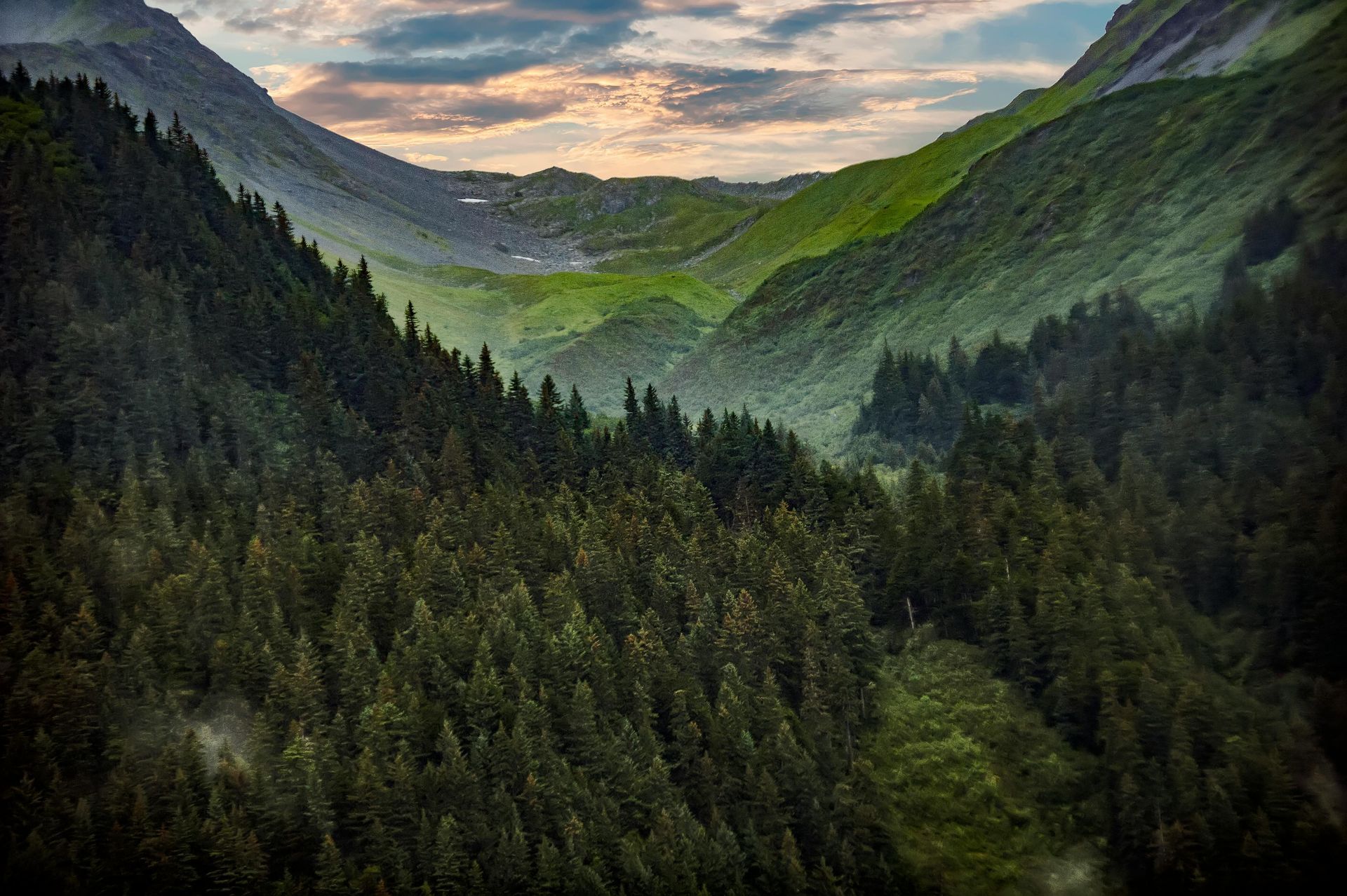 Green valley between towering mountains covered in dense evergreen forests under a cloudy sky.