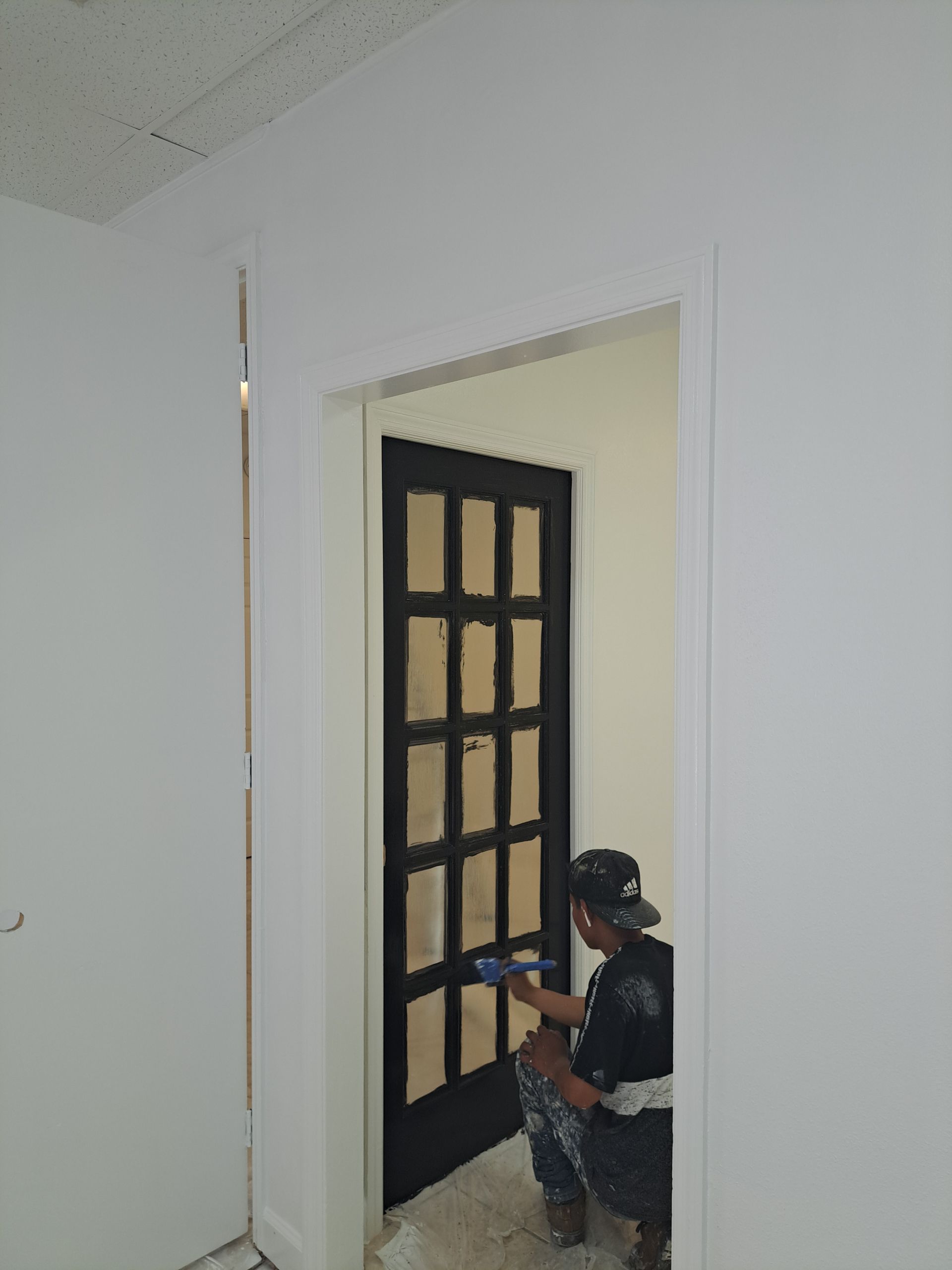 Door Painting | Land O Lakes, FL | Painting By Ralph
