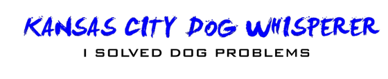Blue text 