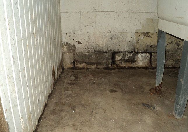 Moldy basement corner with stained walls, dirt floor, and a metal table leg on the right