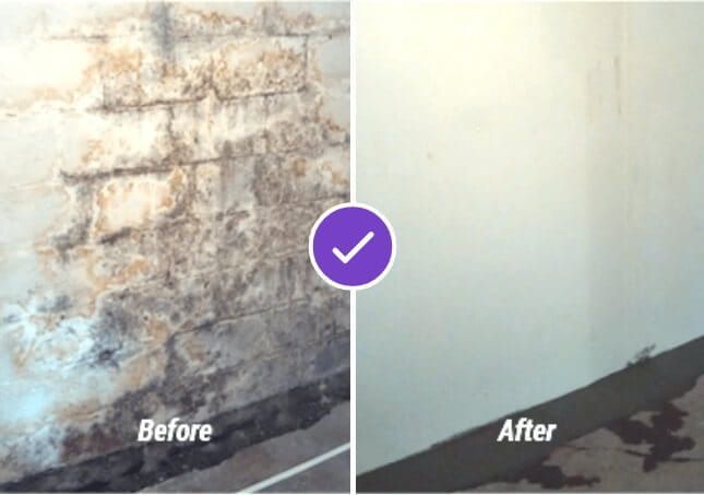 Split before-and-after wall showing moldy damage repaired to a clean white surface.
