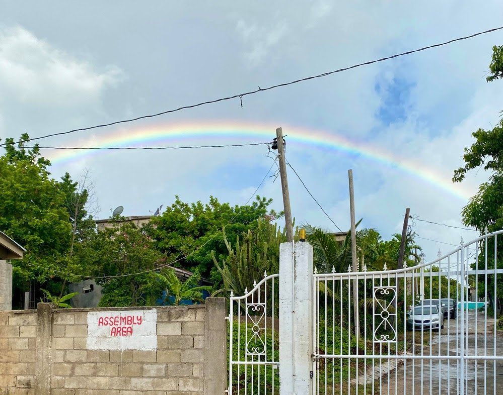 July 2020 Newsletter