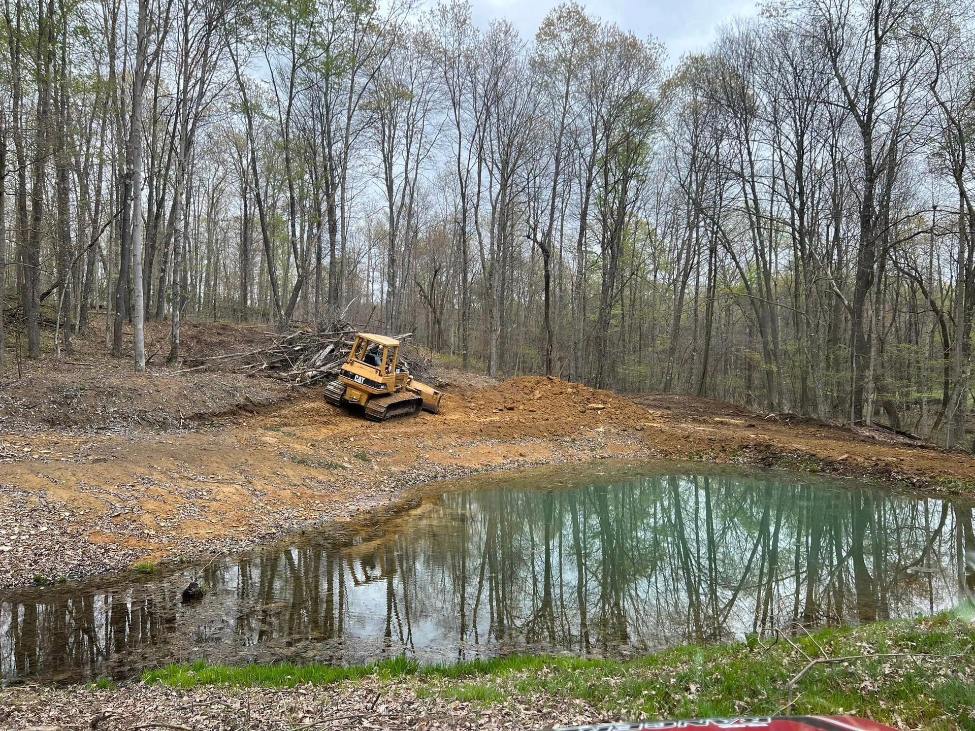A bulldozer is working on a pond in the middle of a forest.
