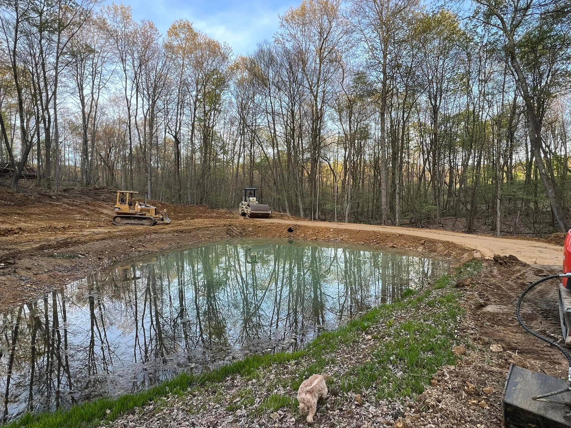 A large body of water surrounded by trees and a dirt road.