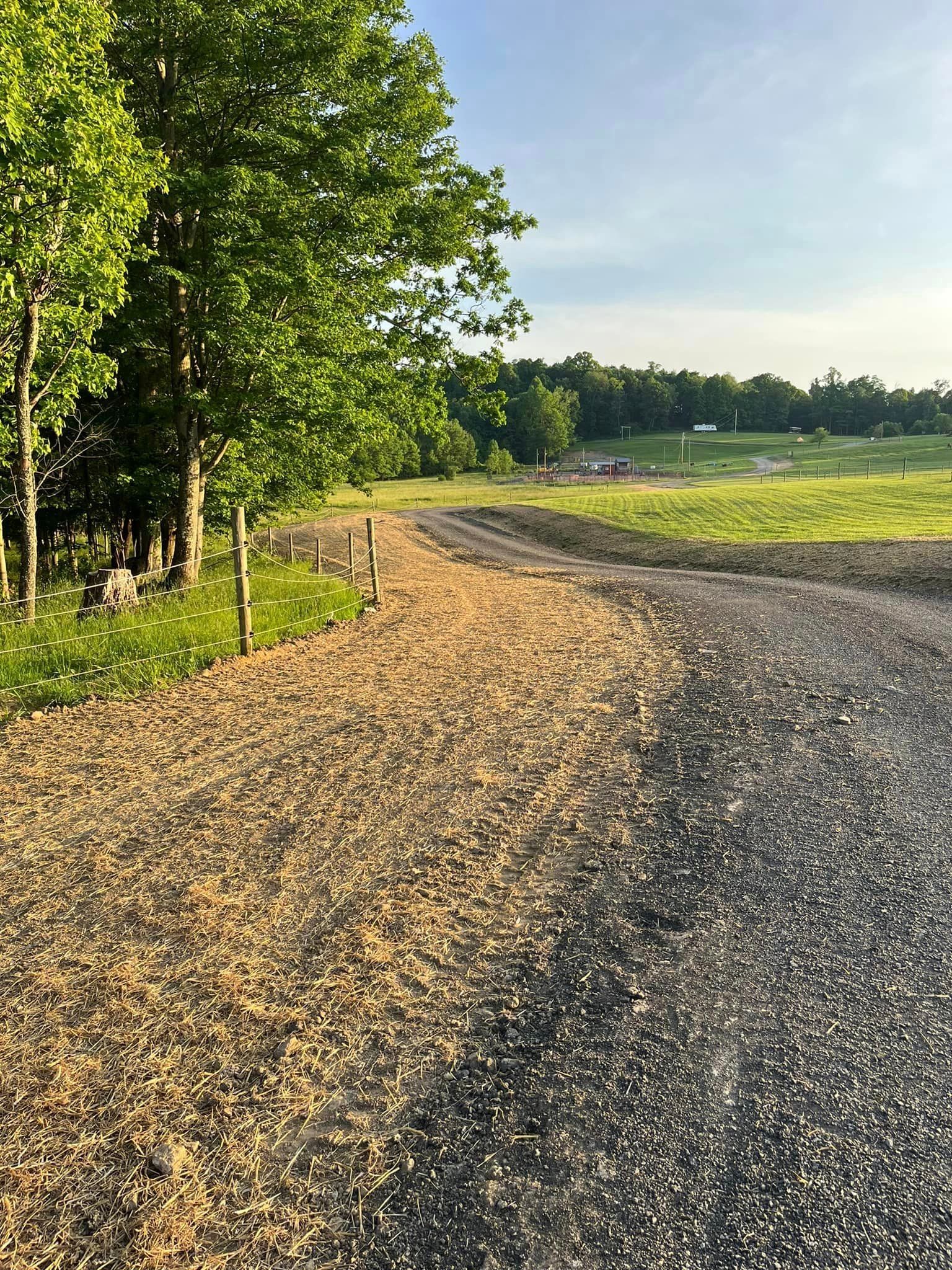 A gravel road going through a field with trees on both sides.