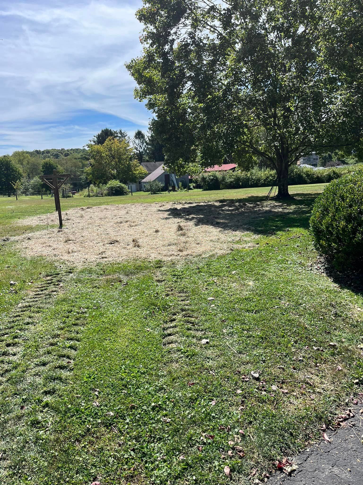 A dirt road going through a grassy field with trees in the background.