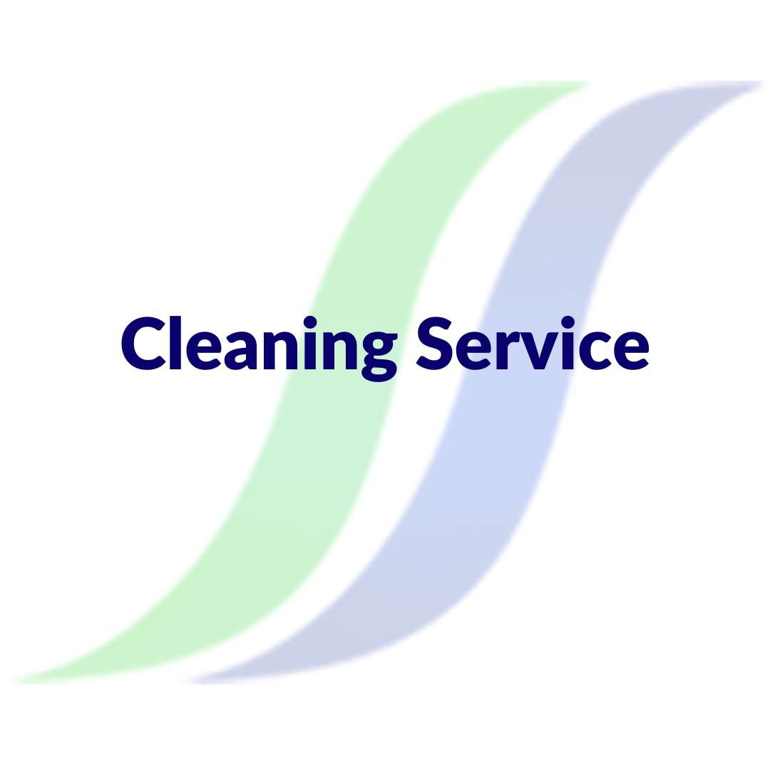 Cleaning with Cassie