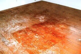 Old Hardwood Floor — Kenton, OH — Kenton Carpet & Hardwood Floor Care