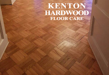 Carpet Cleaning with Vacuum Cleaner — Kenton, OH — Kenton Carpet & Hardwood Floor Care