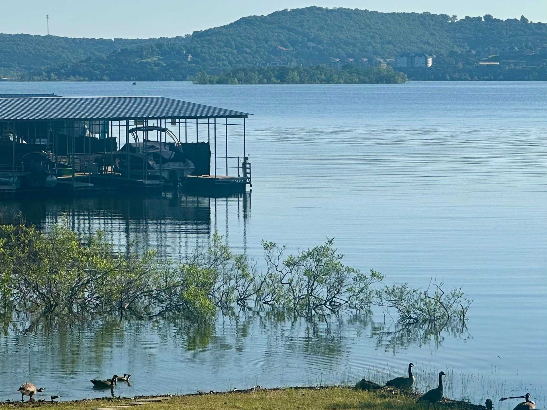 A large body of water with a dock in the background