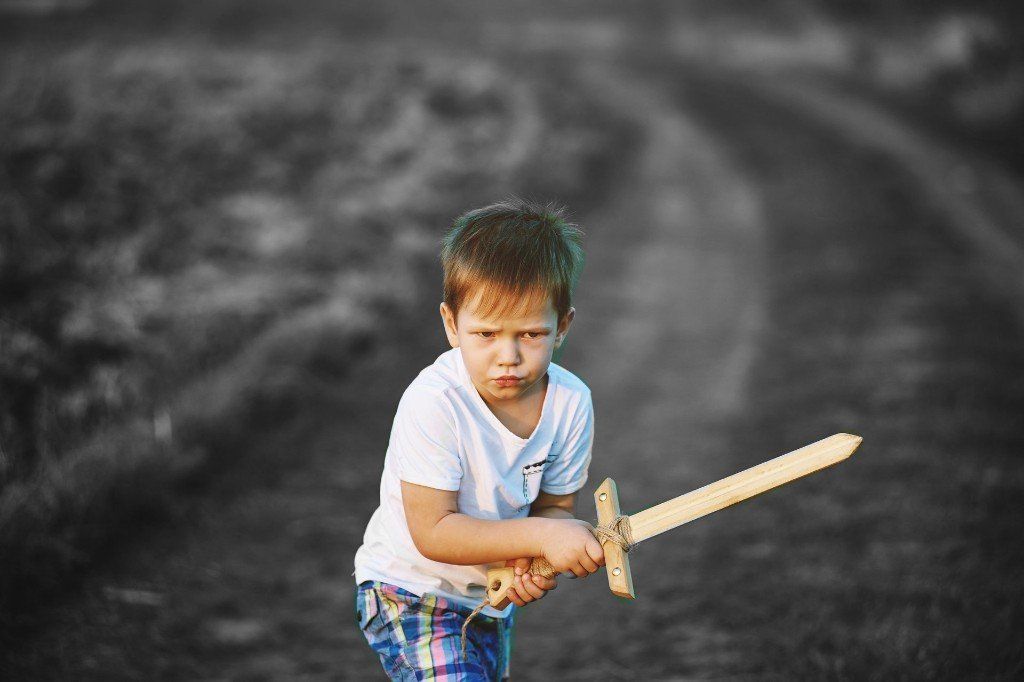 Musketeer boy warrior wooden sword