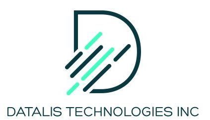 Business Analyst Logo | Wesley Chapel, FL | Datalis Technologies