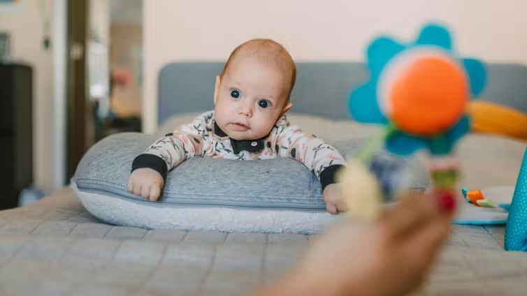 A young baby propped up on a gray support pillow during tummy time, looking intently at a colorful flower rattle.