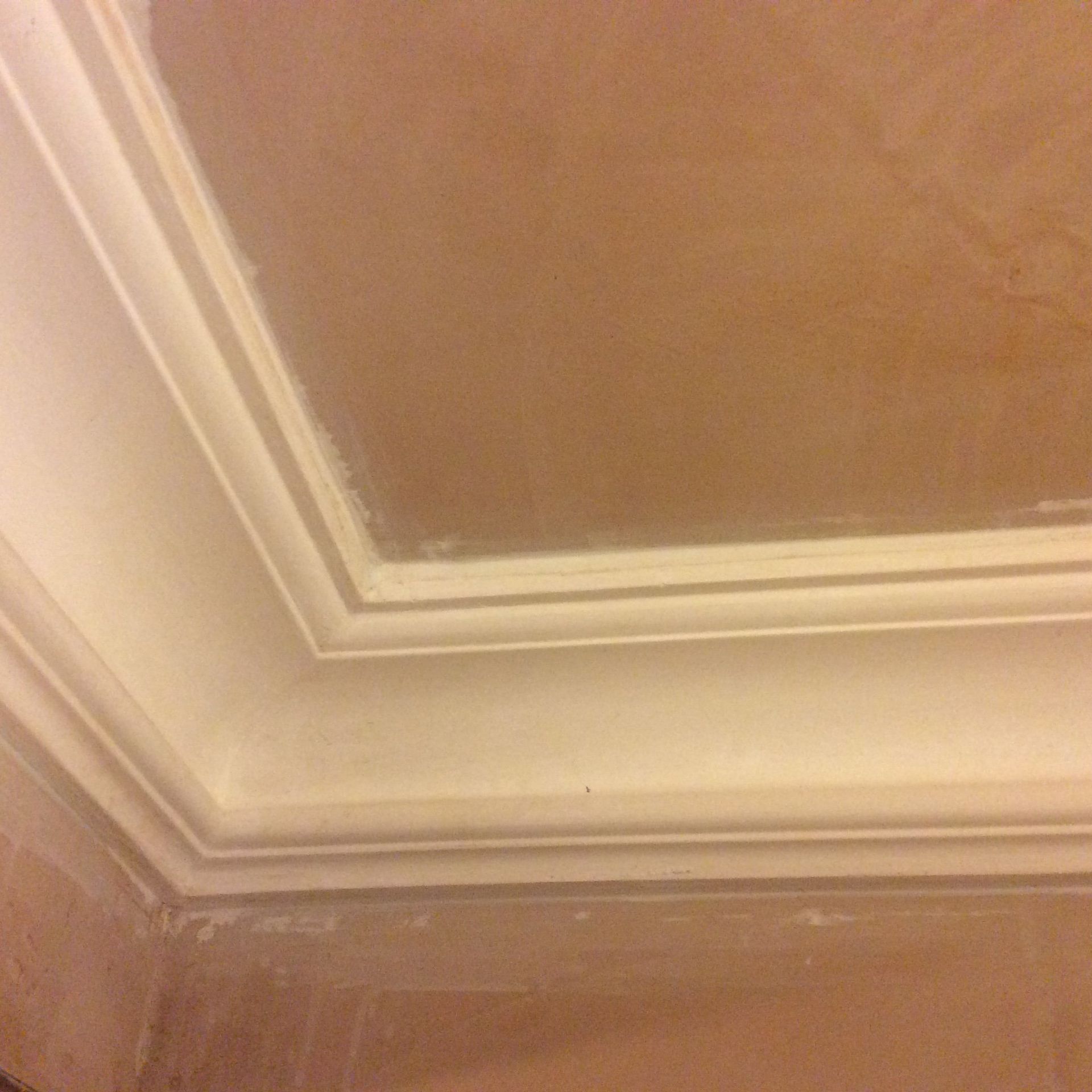 coving specialists