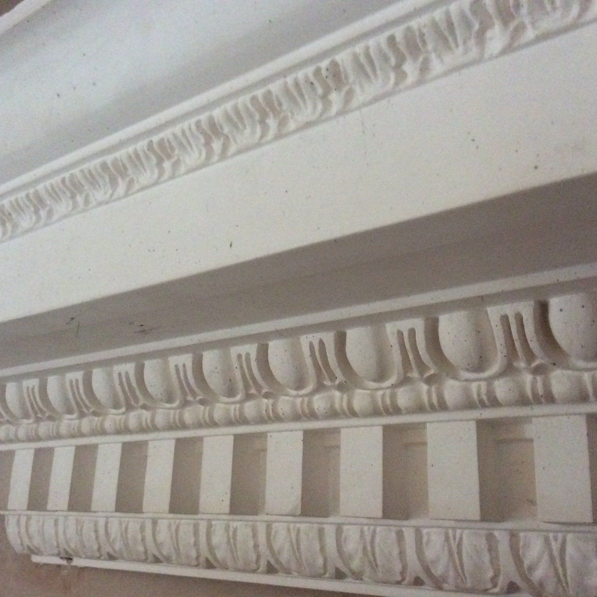 Ornate Coving Experts In Plymouth